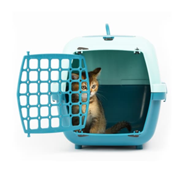 Carrier for cats