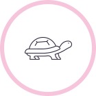 Reptiles / 9 services